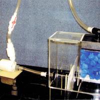 Tenecor Bio Filtro