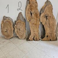Pezzo di legno di ulivo