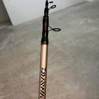 Canna da pesca daiwa