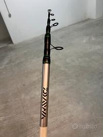 Canna da pesca daiwa