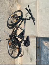bicicletta da uomo 