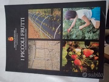 I Piccoli Frutti ,in Provincia di Bergamo