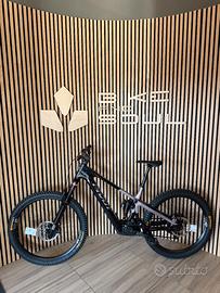 Pivot Shuttle AMPD Pro Avinox