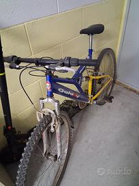 bicicletta
