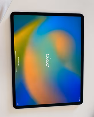 iPad Pro 12.9" (2018) – 256GB