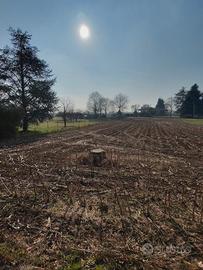 Terreno agricolo vedano/venegono/binago