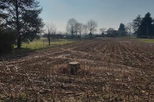 Terreno agricolo vedano/venegono/binago