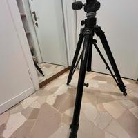 Cavalletto Manfrotto 475B + testa