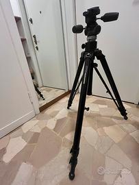 Cavalletto Manfrotto 475B + testa