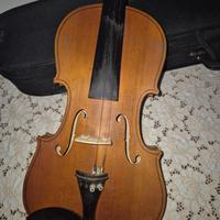 Violino Parrot