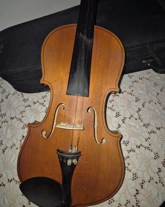 Violino Parrot