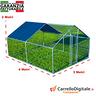 recinto-per-polli-3x4-m-x-h-2-m-12-mq-blu