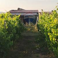 Villa o villino - Mineo