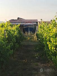 Villa o villino - Mineo