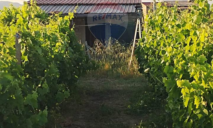 Villa o villino - Mineo