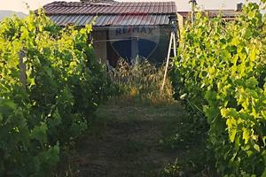 Villa o villino - Mineo