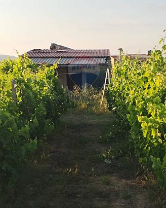 Villa o villino - Mineo