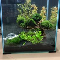 Acquario cubo