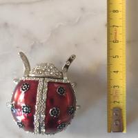 coccinella con orologio 