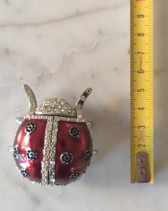 coccinella con orologio 