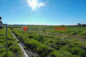 Terreno Agricolo Capaccio Paestum