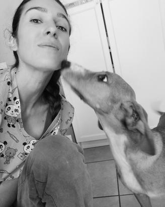 Tecnico veterinario