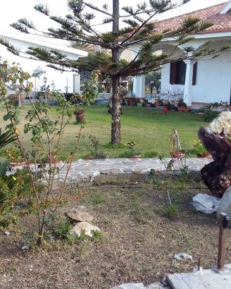 Casa Vacanze IL GABBIANO