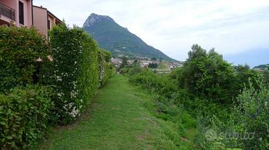 Immobile in asta di 4778 m² a Toscolano-Maderno