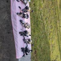 mulinelli Shimano baitrunner 