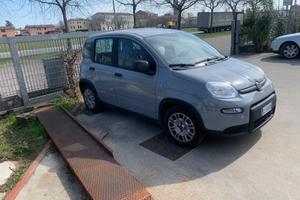 Fiat Panda 1.0 FireFly S&S Hybrid Pandina