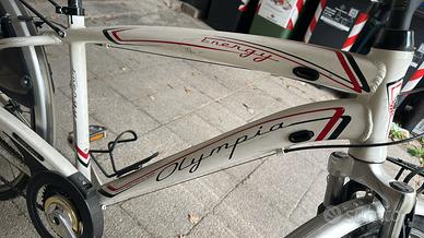 Bicicletta da uomo