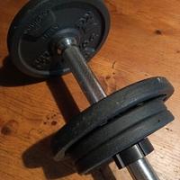 Set 2 manubri 10kg