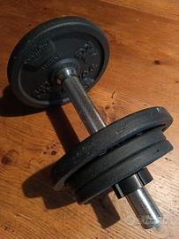 Set 2 manubri 10kg