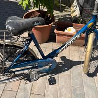bicicletta da rassettare 