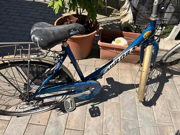 bicicletta da rassettare 