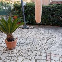 Villa adriana trilocale con corte esterna