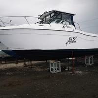 Striper 2600 