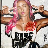 Specialized Stumpjumper EVO S-Works