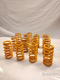 molle sospesioni sportive ohlins