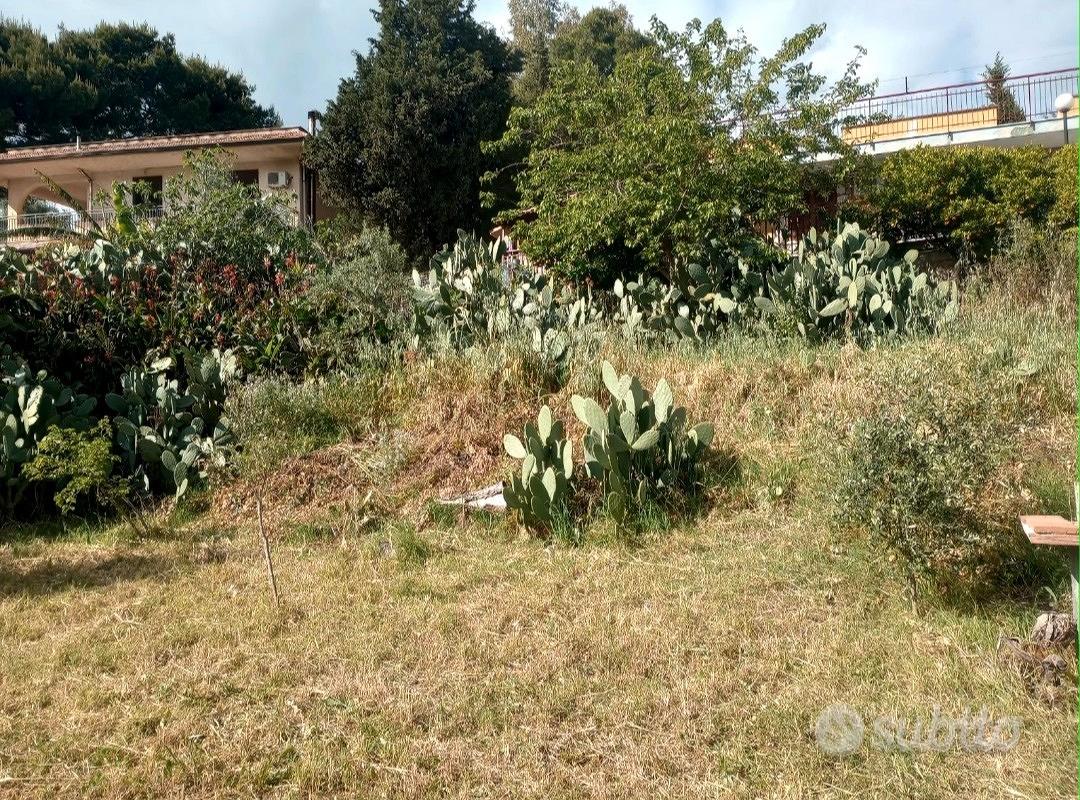 TERRENO AGRICOLO - Vista 3