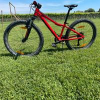Bicicletta scoot