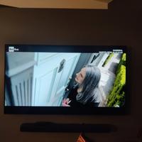 TV LG OLED 55 pollici