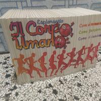 Siamo fatti così - Esplorando il corpo umano