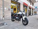 benelli-302-s-full-optional
