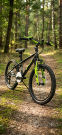 Bicicletta 