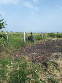 Terreno ardea (ROMA)