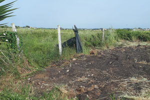 Terreno ardea (ROMA)