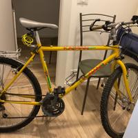 Bicicletta Mountain Bike uomo usata