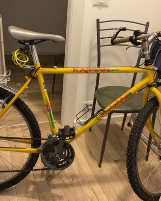 Bicicletta Mountain Bike uomo usata