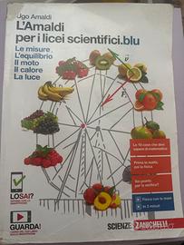 Libro di fisica